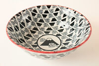 Mino ware Japanese Ceramics Ramen Noodle Bowl Plenty of Mt. Fuji & Cloud Made in Japan