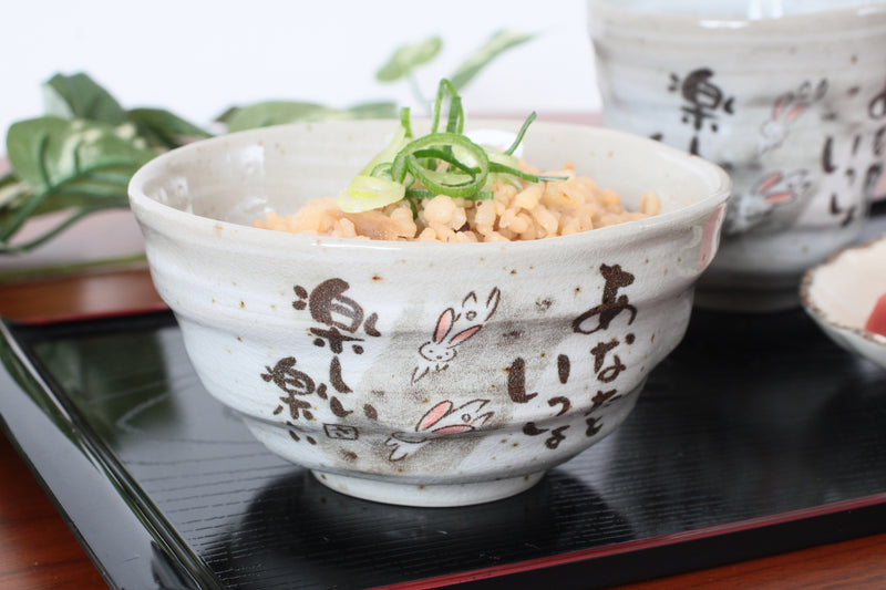 Mino ware Japan Pottery Rice Bowl Running Rabbits Sanaegama Gray made in Japan