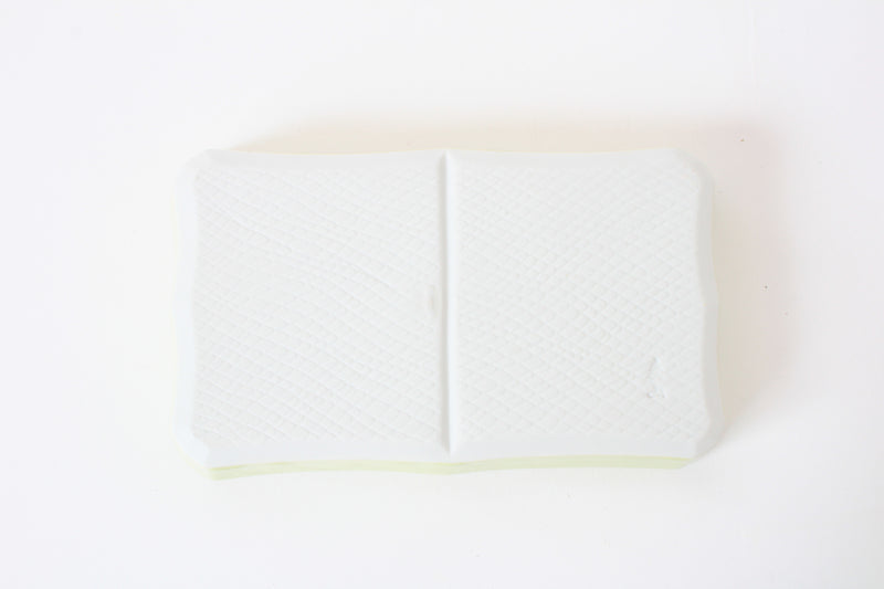 Mino ware Japanese Ceramics Two Section Plate Pastel green Color (L)