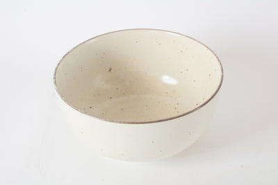 Mino ware Japanese Ceramics 6.3inch Donburi Bowl White Ivory Made in Japan