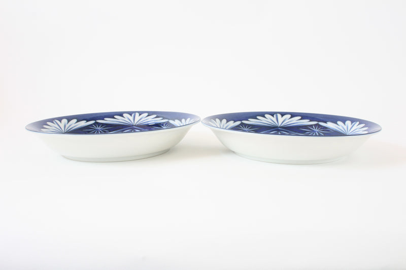 Mino ware Japanese Ceramics 8.7-inch Plate Set of 2, Kiriko Pattern, Blue Made in Japan