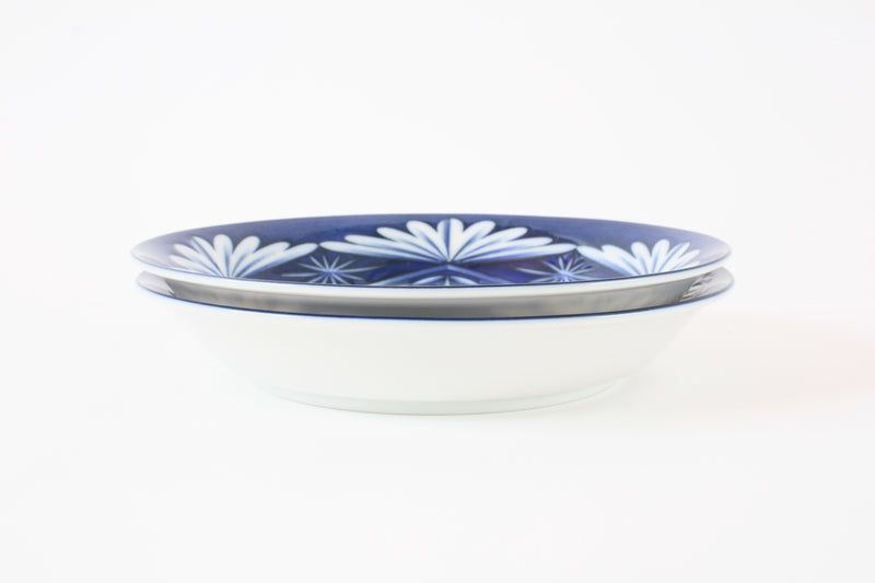 Mino ware Japanese Ceramics 8.7-inch Plate Set of 2, Kiriko Pattern, Blue Made in Japan