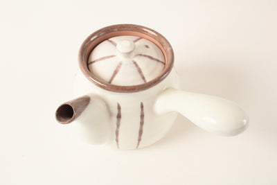 Mino ware Japanese Pottery Teapot Rokubey Kyusu Matte White Tokusa made in Japan