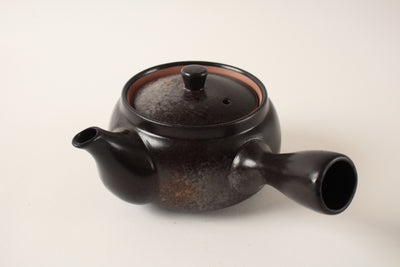 Mino ware Japanese Pottery Teapot Kyusu Kurobizen Matte Black with Infuser made in Japan
