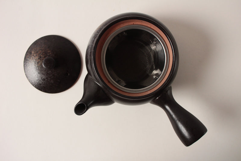 Mino ware Japanese Pottery Teapot Kyusu Kurobizen Matte Black with Infuser made in Japan
