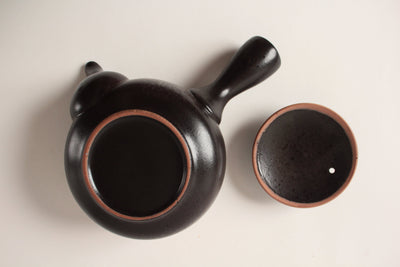 Mino ware Japanese Pottery Teapot Kyusu Kurobizen Matte Black with Infuser made in Japan