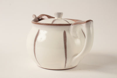 Mino ware Japanese Pottery Teapot Kyusu Arradin Pot Matte White Tokusa