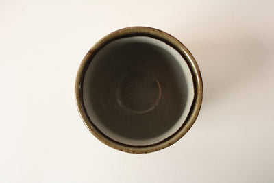 Kutani ware Japanese Ceramic Yunomi Chawan Tea Cup Common Kingfish made in Japan