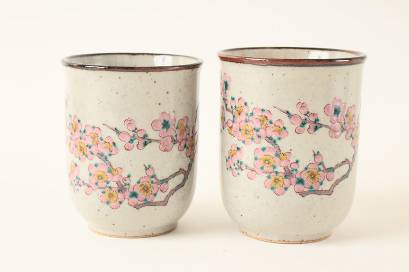 Kutani ware Japanese Ceramic Pair Yunomi Chawan Tea Cup Plum Flowers and Bird