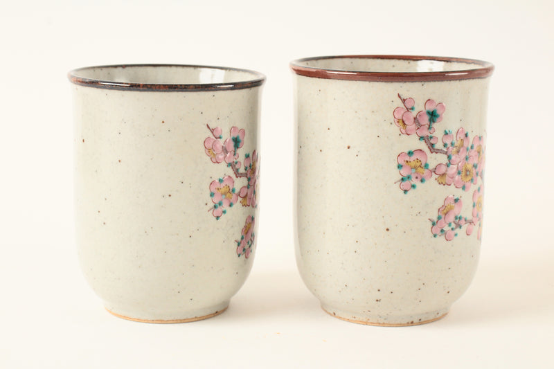 Kutani ware Japanese Ceramic Pair Yunomi Chawan Tea Cup Plum Flowers and Bird