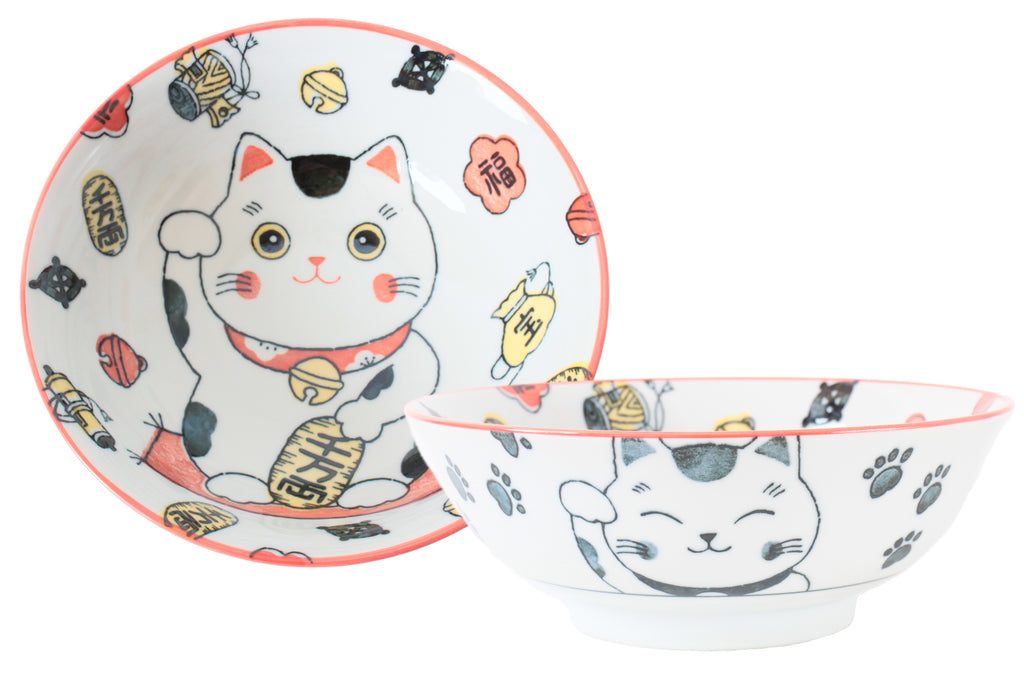 Mino ware Japanese Ceramics Ramen Noodle Donburi Bowl Lucky