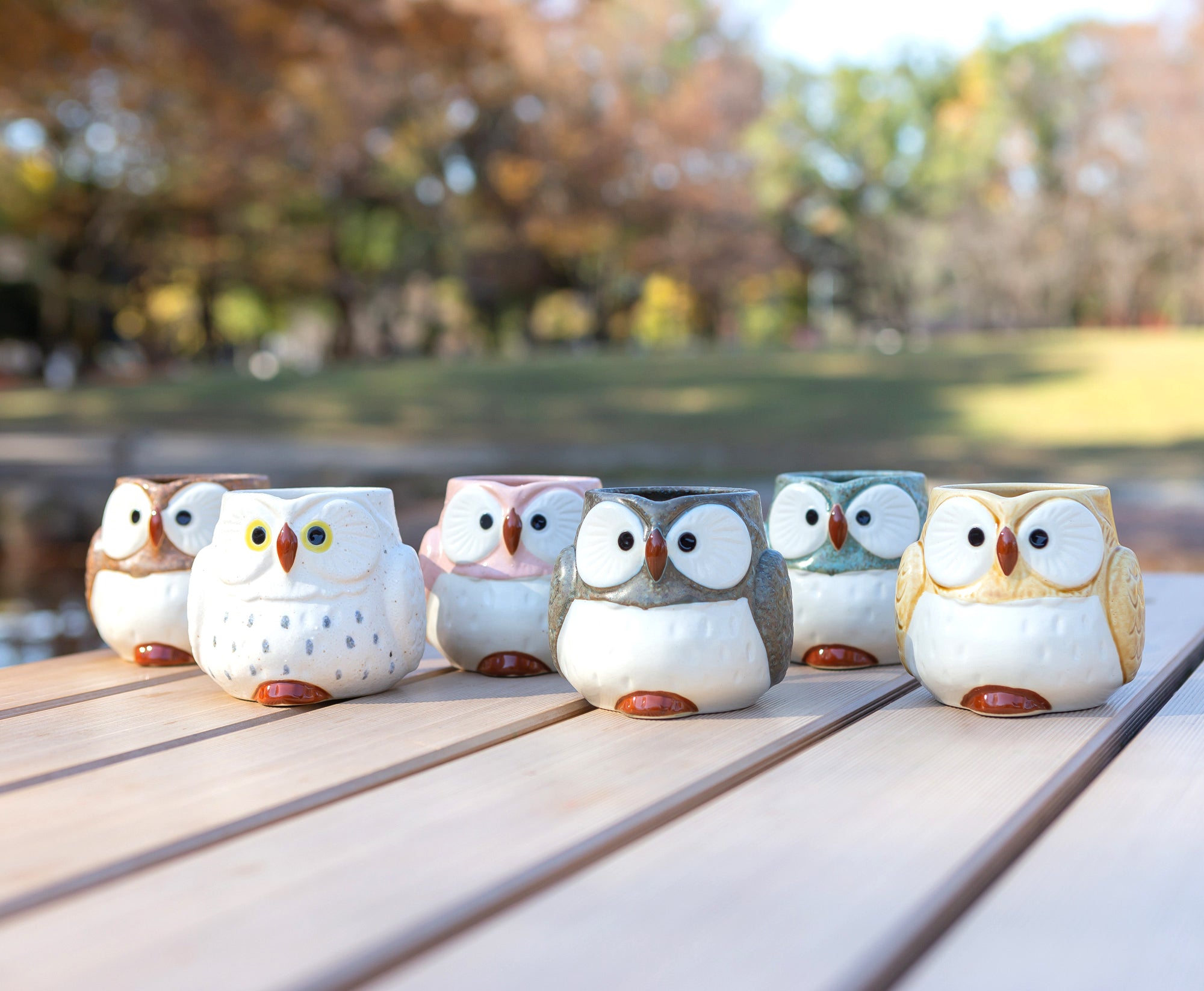 コンポート センターピース ボウル ガラス モダン クラシック AN-48502 コンポート センターピース ボウル ガラス モダン クラシック AN-48502