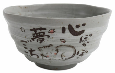 Mino ware Japanese Pottery Rice Bowl Sleeping Cat Sanaegama Gray made in Japan