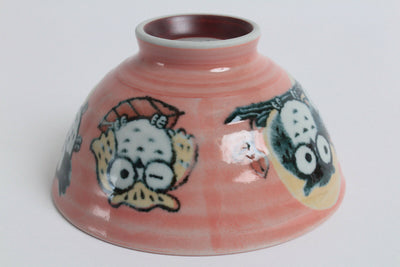 Mino ware Japanese Pottery Rice Bowl Owl pattern Red made in Japan New