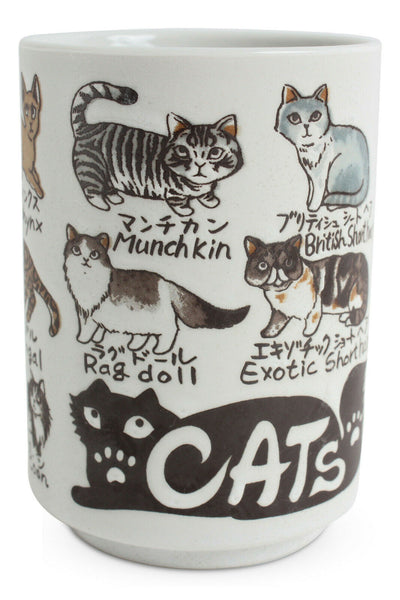 Mino ware Japan Ceramics Sushi Yunomi Chawan Tea Cup Variety of Cats