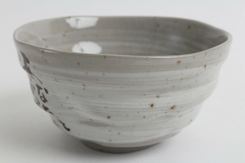 Mino ware Japanese Pottery Rice Bowl Owl Family Sanaegama Gray made in Japan