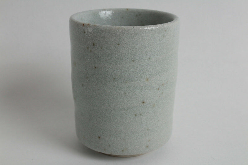 Mino ware Japanese Pottery Yunomi Chawan Tea Cup Whity Mint Green w/Brown Dots