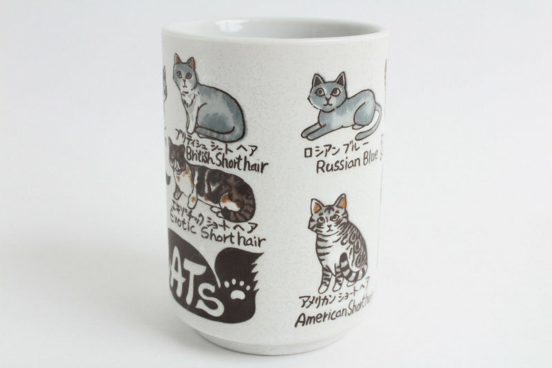 Mino ware Japan Ceramics Sushi Yunomi Chawan Tea Cup Variety of Cats