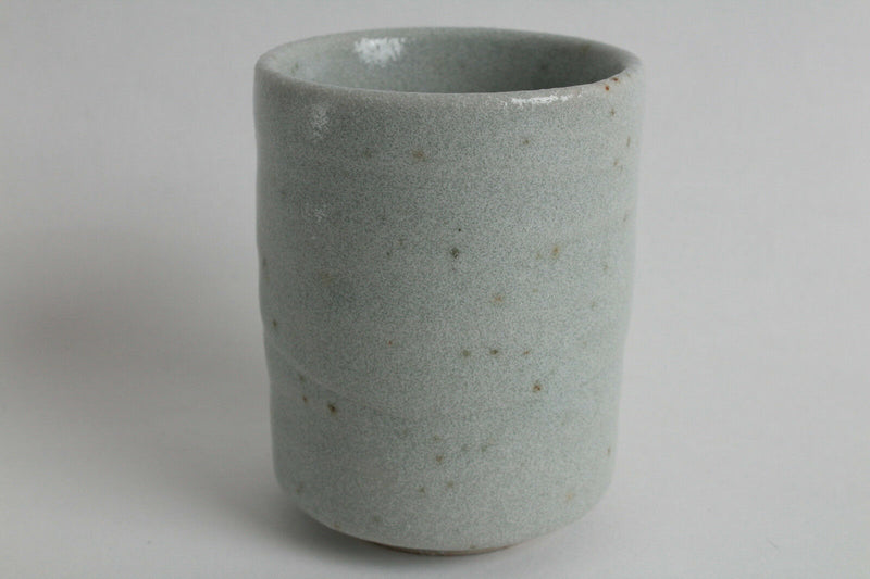 Mino ware Japanese Pottery Yunomi Chawan Tea Cup Whity Mint Green w/Brown Dots