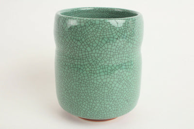 Mino ware Japanese Pottery Sushi Yunomi Chawan Tea Cup Fern Green Crackled