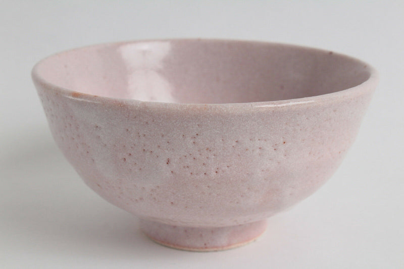 Mino ware Japanese Pottery Rice Bowl Sakura Cherry Blossom Pink & Brown