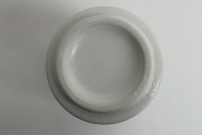 Mino ware Japanese Ceramics Sushi Yunomi Chawan Tea Cup African Animals
