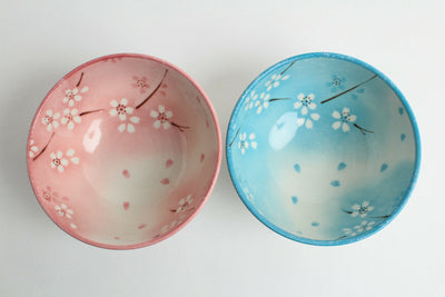 Mino ware Japanese Pair Rice Bowl Set of Two Snowy Flowers & Petals Blue & Pink