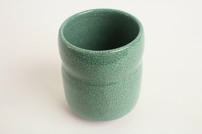 Mino ware Japanese Pottery Sushi Yunomi Chawan Tea Cup Fern Green Crackled