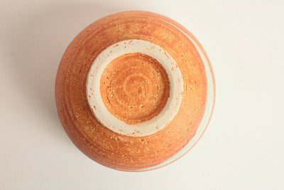 Mino ware Japan Pottery Large Bowl Sage Green on Orange Crackled (Matcha/Rice)