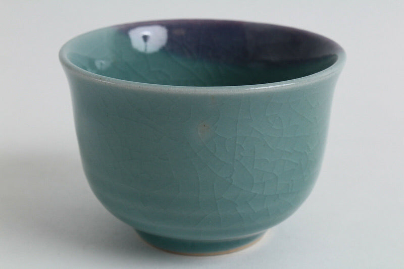Mino ware Japanese Pottery Yunomi Chawan Tea Cup Hisui Emerald Green & Purple