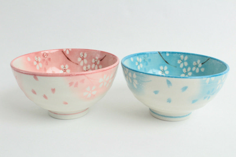 Mino ware Japanese Pair Rice Bowl Set of Two Snowy Flowers & Petals Blue & Pink