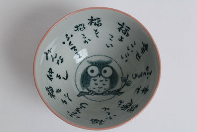 Mino ware Japanese Pottery Rice Bowl Owl pattern Red made in Japan New