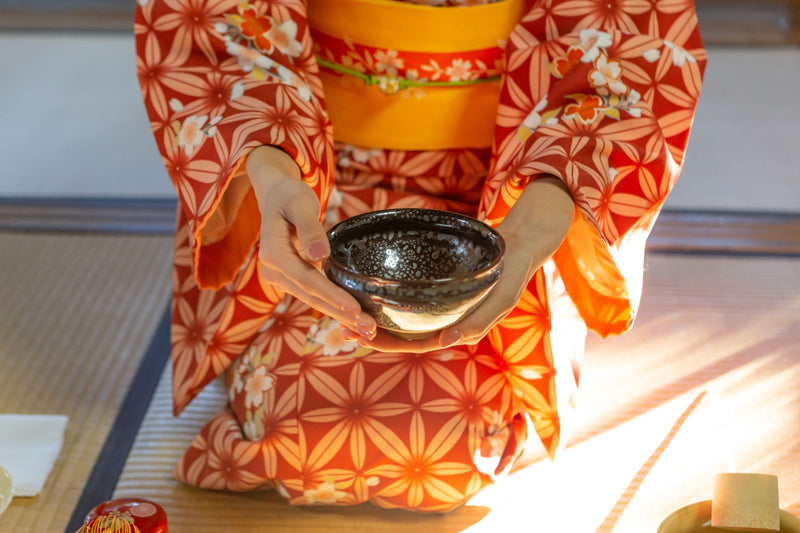 Mino ware Japanese Pottery Tea Ceremony Matcha Bowl Yutekitenmoku Black Kyostyle