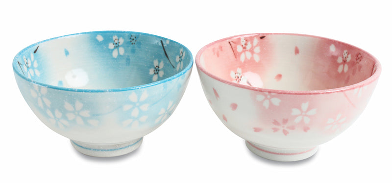 Mino ware Japanese Pair Rice Bowl Set of Two Snowy Flowers & Petals Blue & Pink