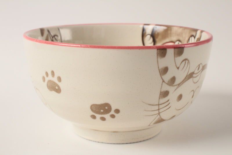 Mino ware Japanese Ceramics Large Rice Bowl Smiling Cats Gloss finish Pink