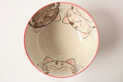 Mino ware Japanese Ceramics Large Rice Bowl Smiling Cats Gloss finish Pink