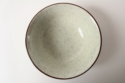 Mino ware Japan Ceramics Ramen Noodle Donburi Bowl Karakusa Pattern
